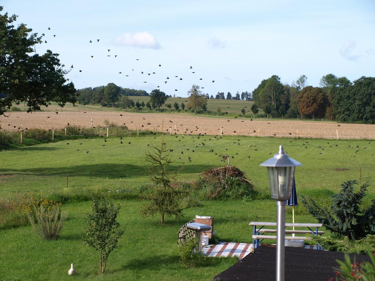 Landhaus Kranichwiese Gohren-Lebbin Bagian luar foto