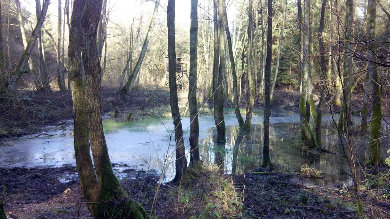 Landhaus Kranichwiese Gohren-Lebbin Bagian luar foto
